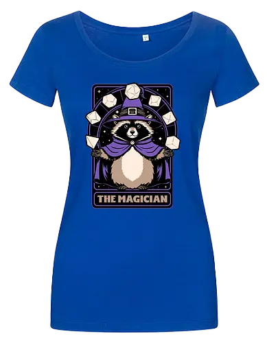 Raccoon RPG Wizard