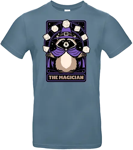 Raccoon RPG Wizard - rpg, Pen and Paper, d20, Pen and paper, dungeon master, role-playing game, tabletop, game master, Role-play, Role-playing, Roleplay Game, Pen and Paper, Dungeon, Fantasy, Adventure, Mythical, Creature, Wizard, Sorcerer, Sorcery, Mage, Dark Mage, Magical, The Magician, Magician, Tarot Card, Tarot, Dice, Raccoons, Raccoon - Standard T-Shirt