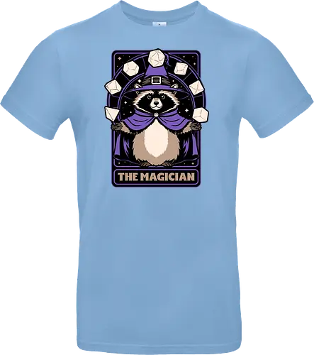 Raccoon RPG Wizard