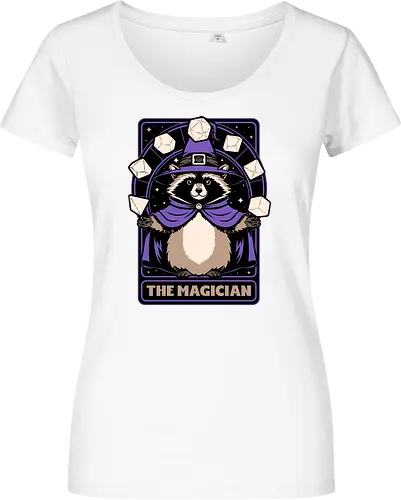Raccoon RPG Wizard