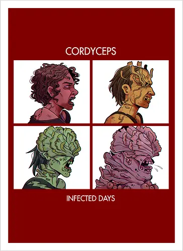 Cordyceps- Infected Days