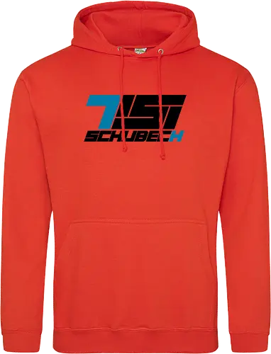 TisiSchubecH - Logo