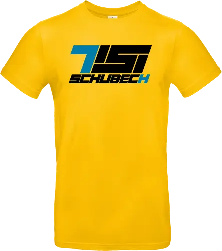 TisiSchubecH - Logo