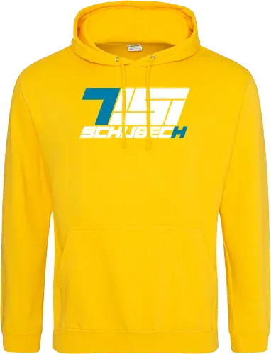 TisiSchubecH - Logo