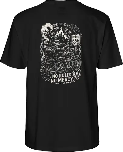 Outlaw Rider