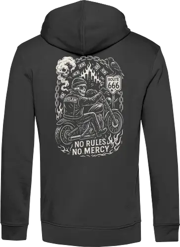 Outlaw Rider