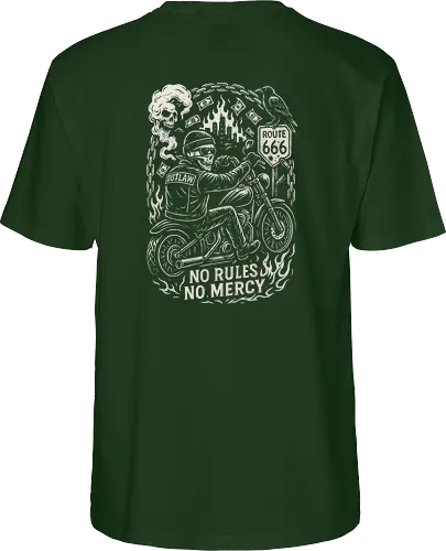 Outlaw Rider
