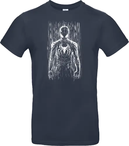 The spider under the rain
