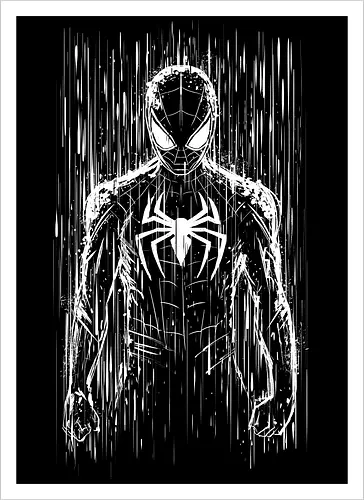 The spider under the rain