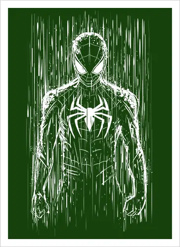 The spider under the rain