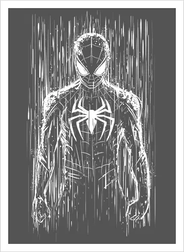 The spider under the rain