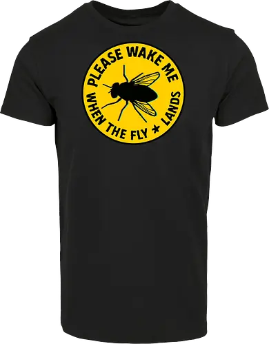 Please wake me when the fly lands