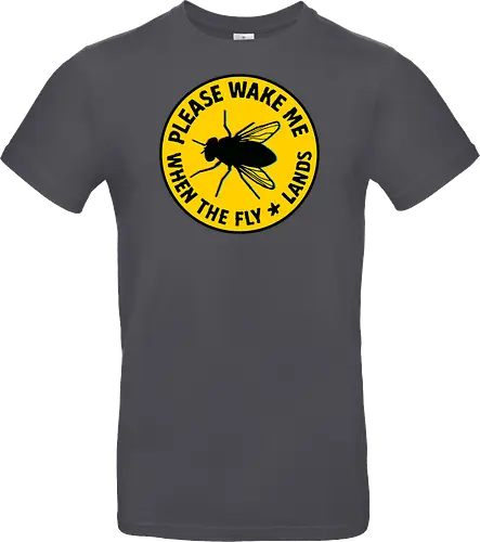 Please wake me when the fly lands