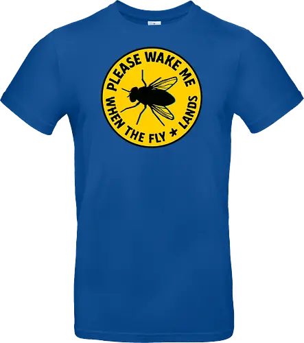 Please wake me when the fly lands