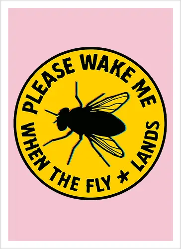 Please wake me when the fly lands