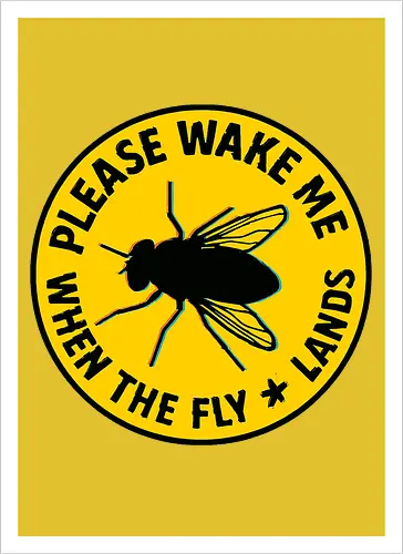 Please wake me when the fly lands