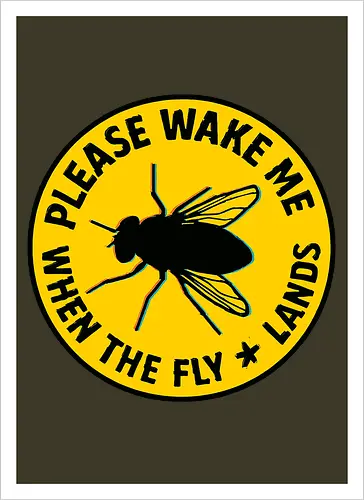 Please wake me when the fly lands