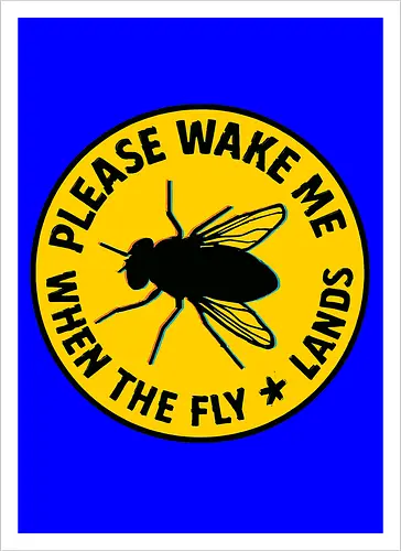 Please wake me when the fly lands