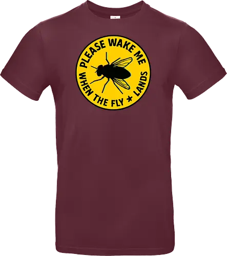 Please wake me when the fly lands