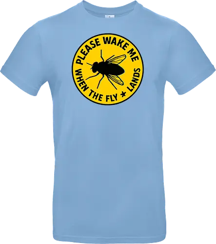 Please wake me when the fly lands
