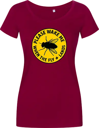 Please wake me when the fly lands