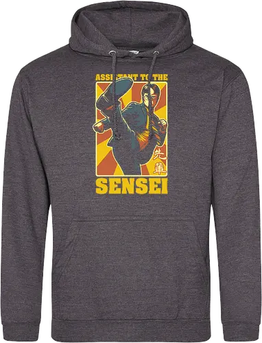 Assistant to the Sensei