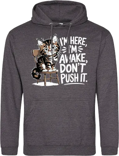 I'm here, I'm awake, don't push it