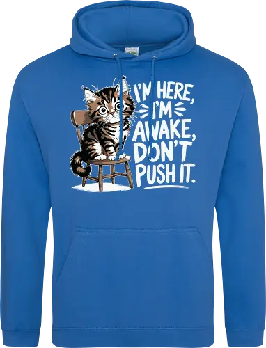 I'm here, I'm awake, don't push it