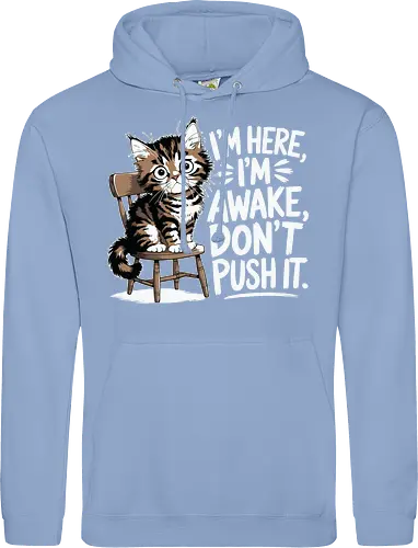 I'm here, I'm awake, don't push it