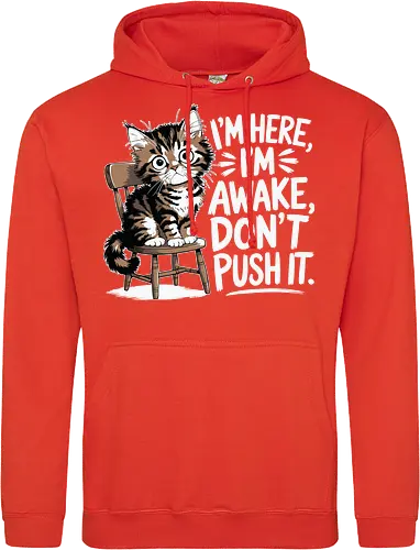 I'm here, I'm awake, don't push it