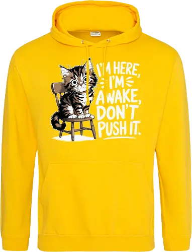 I'm here, I'm awake, don't push it