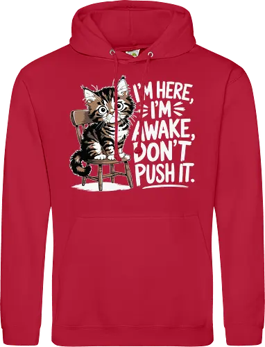 I'm here, I'm awake, don't push it