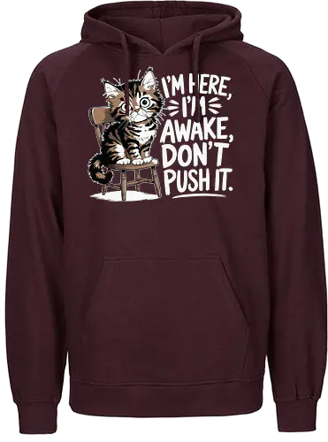 I'm here, I'm awake, don't push it - cat, chair, wide eyes, humor, quote, awake, playful, cute - Fairtrade Hoodie