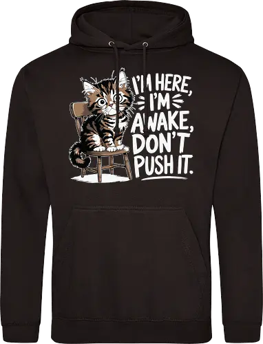 I'm here, I'm awake, don't push it