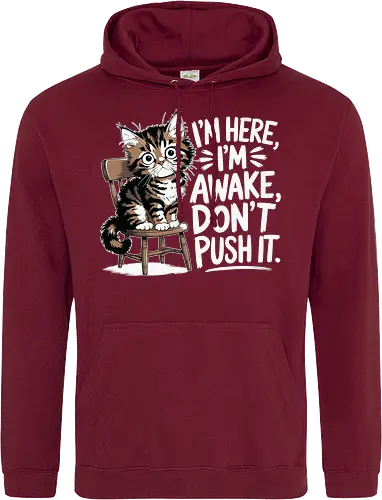 I'm here, I'm awake, don't push it
