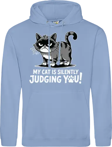 My cat is silently judging you