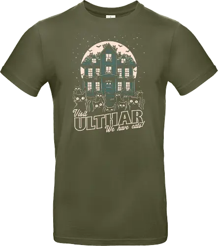 Cats Visit Ulthar