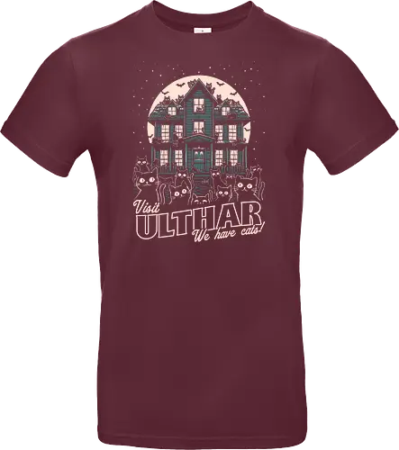 Cats Visit Ulthar