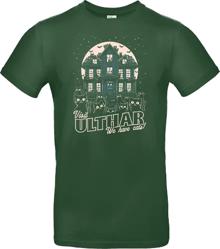 Cats Visit Ulthar