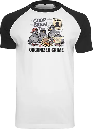 group of pigeons