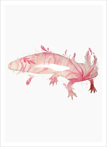 Axolotl Silhouette