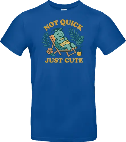 Not Quick Just Cute