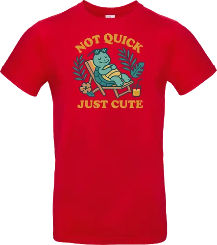 Not Quick Just Cute