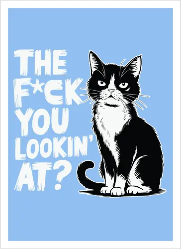 THE F*CK YOU LOOKIN' AT?