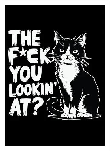 THE F*CK YOU LOOKIN' AT?