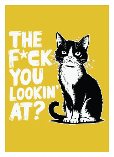THE F*CK YOU LOOKIN' AT?