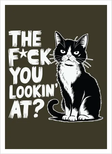 THE F*CK YOU LOOKIN' AT?