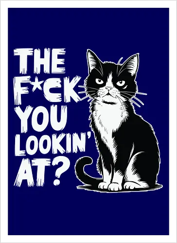 THE F*CK YOU LOOKIN' AT?