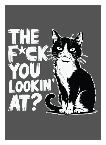THE F*CK YOU LOOKIN' AT?