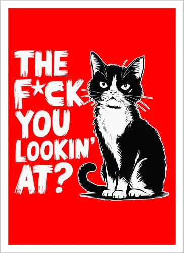 THE F*CK YOU LOOKIN' AT?